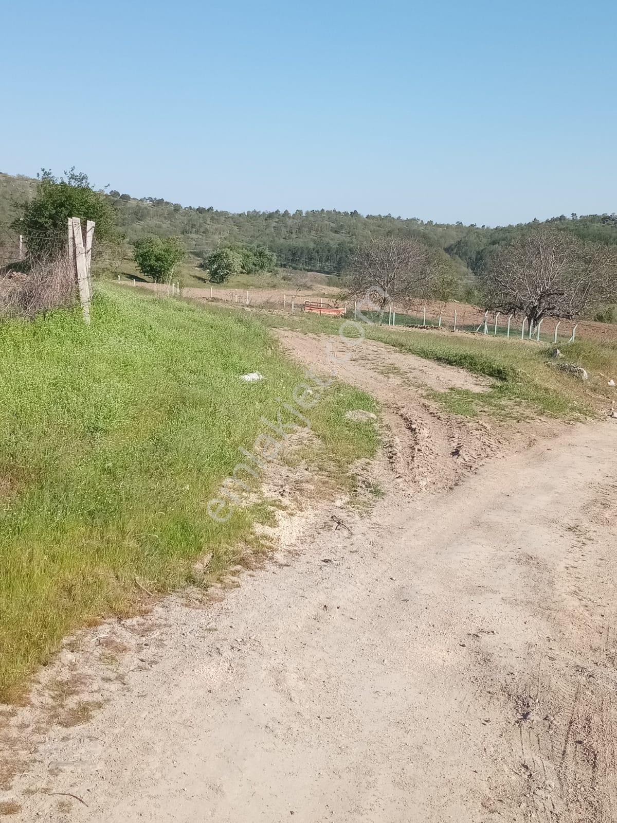 Savaş Gayrimenkul, Elmacık Köyü 1500 M2 Yatırımlık - Görsel 3