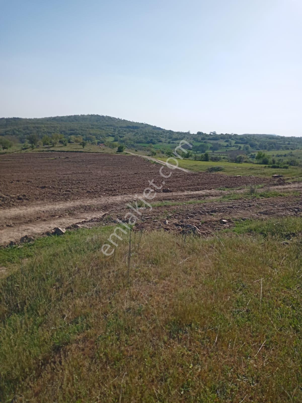 Savaş Gayrimenkul, Elmacık Köyü 1500 M2 Yatırımlık - Görsel 5