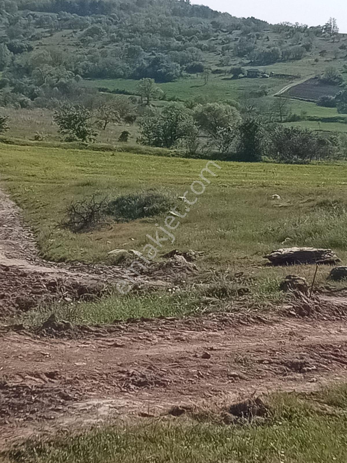 Savaş Gayrimenkul, Elmacık Köyü 1500 M2 Yatırımlık - Görsel 7