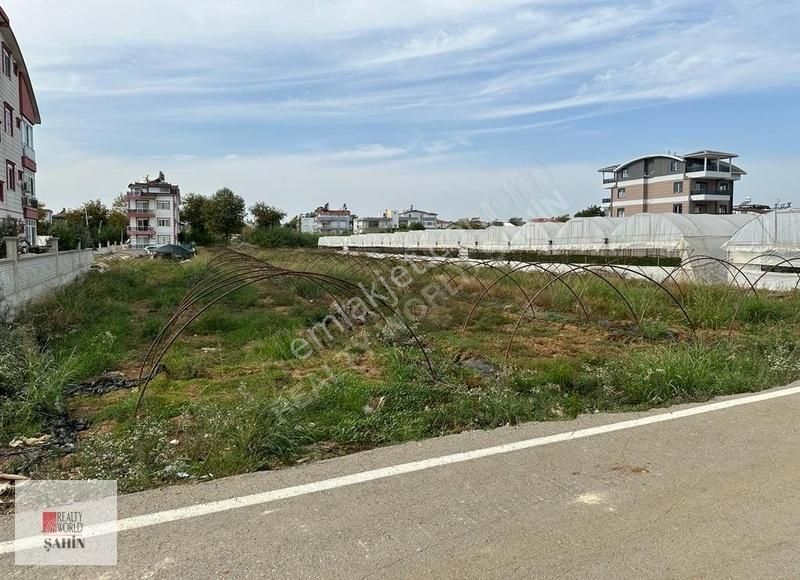 Serik Kadriye Satılık Tarla KADRİYE MERKEZ'DE 531 M² YATIRIMLIK ARSA