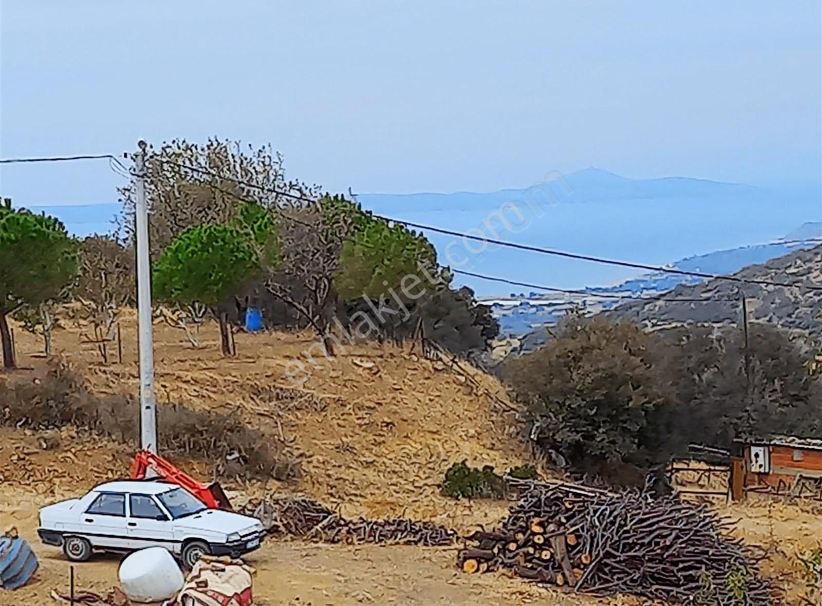 Ezine Tavaklı Köyü Satılık Tarla TAVAK LI DA KOYE 100M DENIZE 3KM MESAFEDE SATILIK TARLA