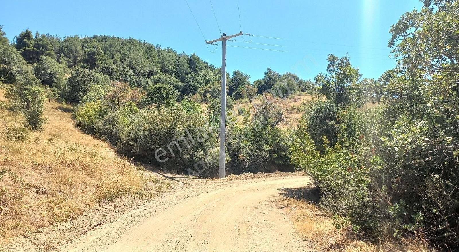 Bayramiç Çırpılar Köyü Satılık Tarla BAYRAMİÇ ÇIRPILAR KÖYÜNDE KADASTRAL YOL CEPHELI SATILIK TARLA