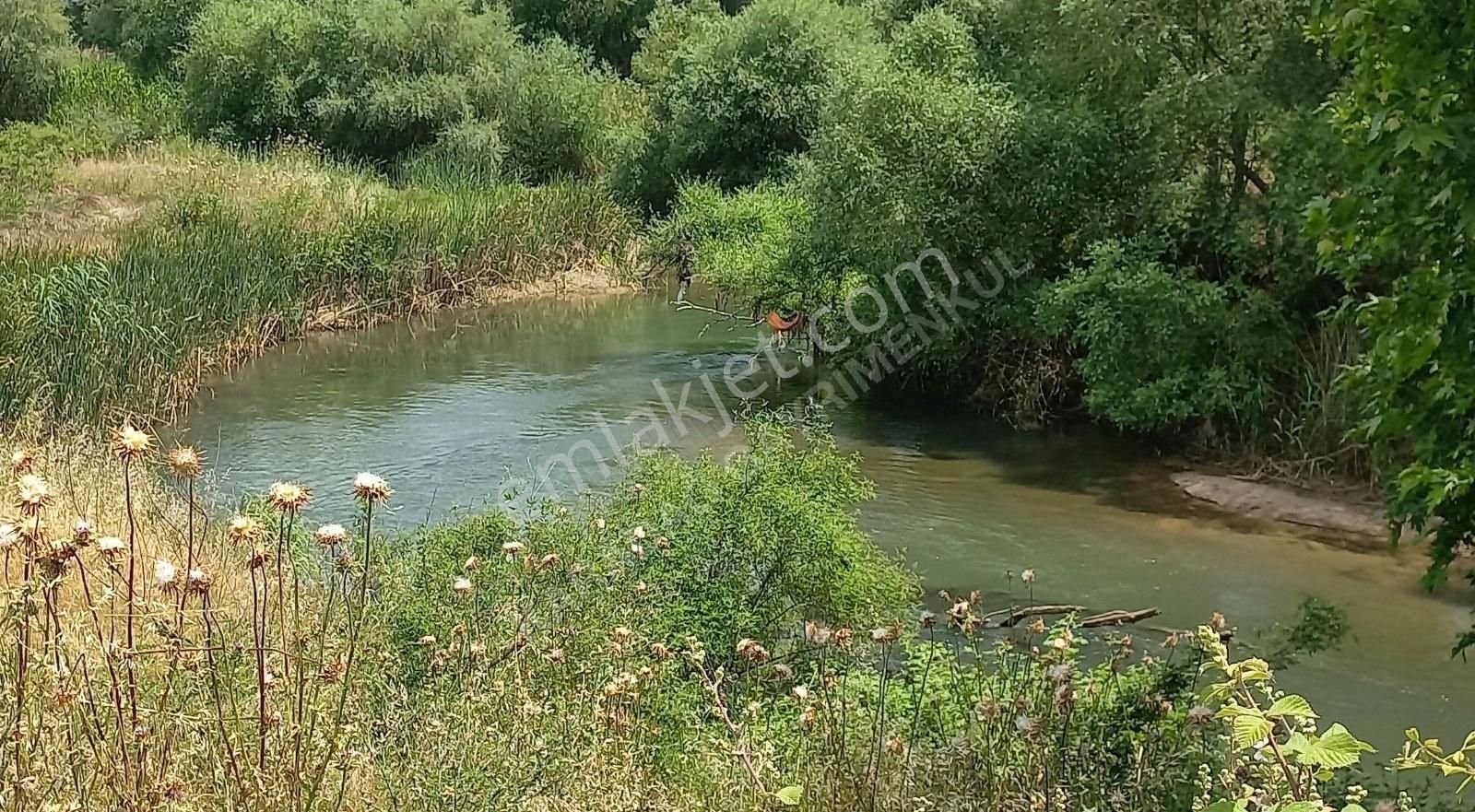 Ezine Güllüce Köyü Satılık Tarla HER ÇEŞİT MEYVE YETISTIRICILIGINE UYGUN 7.256M² SATILIK TARLA