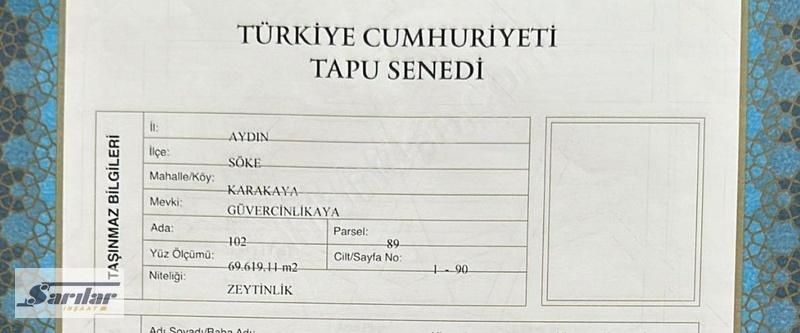 Söke Yenicamii Satılık Zeytinlik AYDIN SÖKEDE SATILIK MADEN RUHSATLI ARAZİ