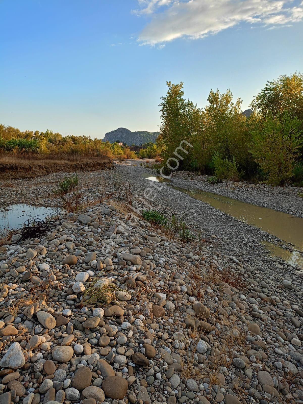 Manavgat Sağırin Satılık Tarla MANAVGAT SAĞIRINDA DÖNÜMÜ 800 BİNE SATILIK 10 DÖNÜM ARAZİ