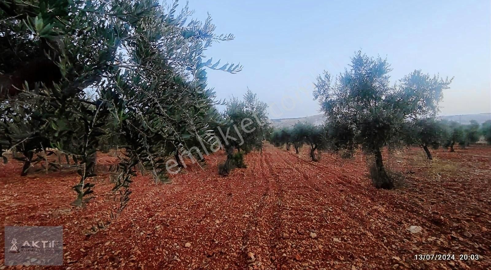 Aktif'den Satılık Bakımlı Bağ Evlik Arazi .... - Görsel 8