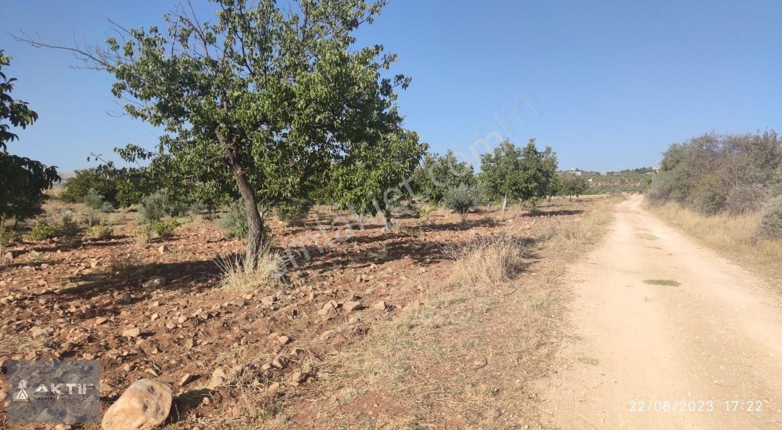 Şahinbey Kaleboynu Satılık Bağ & Bahçe AKTİF'DEN BURÇ GÖLETİNE YAKIN ACİLL SATILIK ARAZİ...