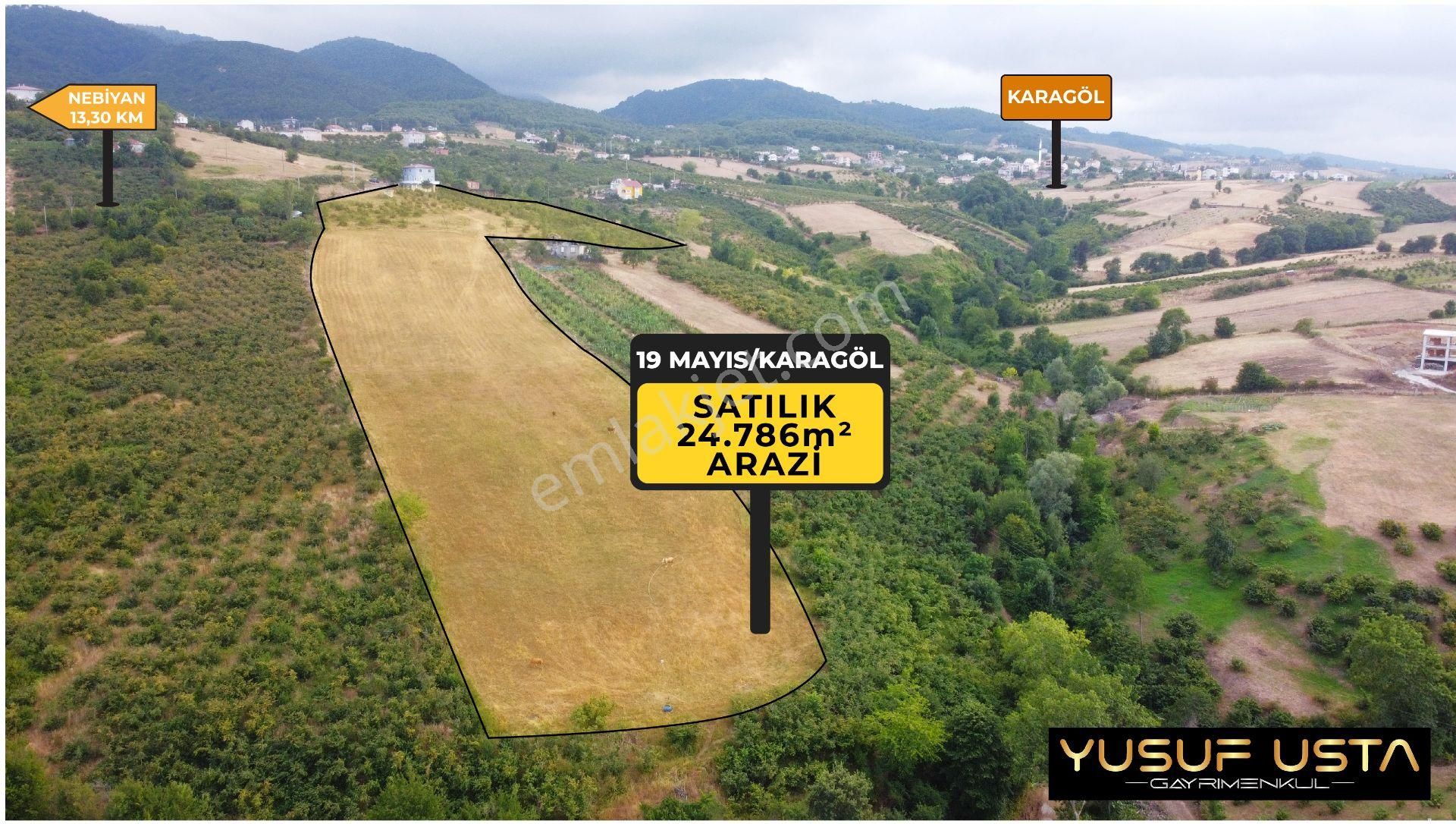 19 Mayıs Karagöl Satılık Tarla Yusuf Usta Gayrimenkul'den Satılık 24.786m² Arazi