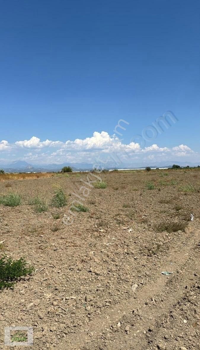 Serik Dikmen Satılık Tarla SERİK DİKMEN MAHALLESİNDE YATIRIMLIK TARLA ÇINAR EMLAK