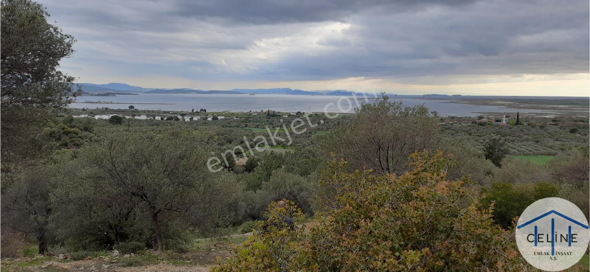 R6-çandarlı Yolu Üzeri Mavikent Yanı Full Deniz Manzaralı 8.5 Dönüm Zeytinlik - Görsel 2