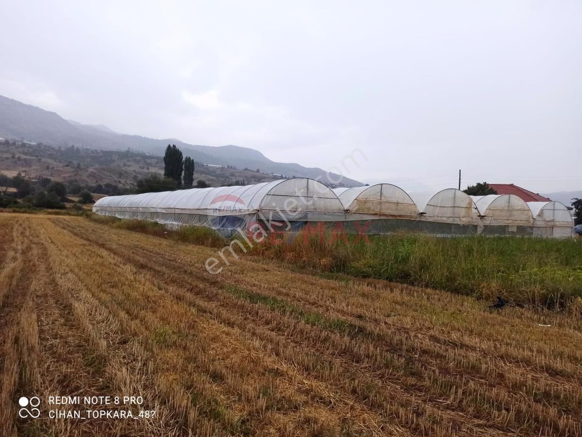 Seydikemer Bekçiler Satılık Arazi MUĞLA'DA ANTALYA ANA YOLU ÜZERİNDE TEK TAPULU SATILIK TARLA VE SERA