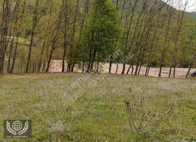 İznik Elmalı Satılık Tarla Vadi Gayrimenkul Den İznik Elmalı Köyün De Yola Cepheli Arazi