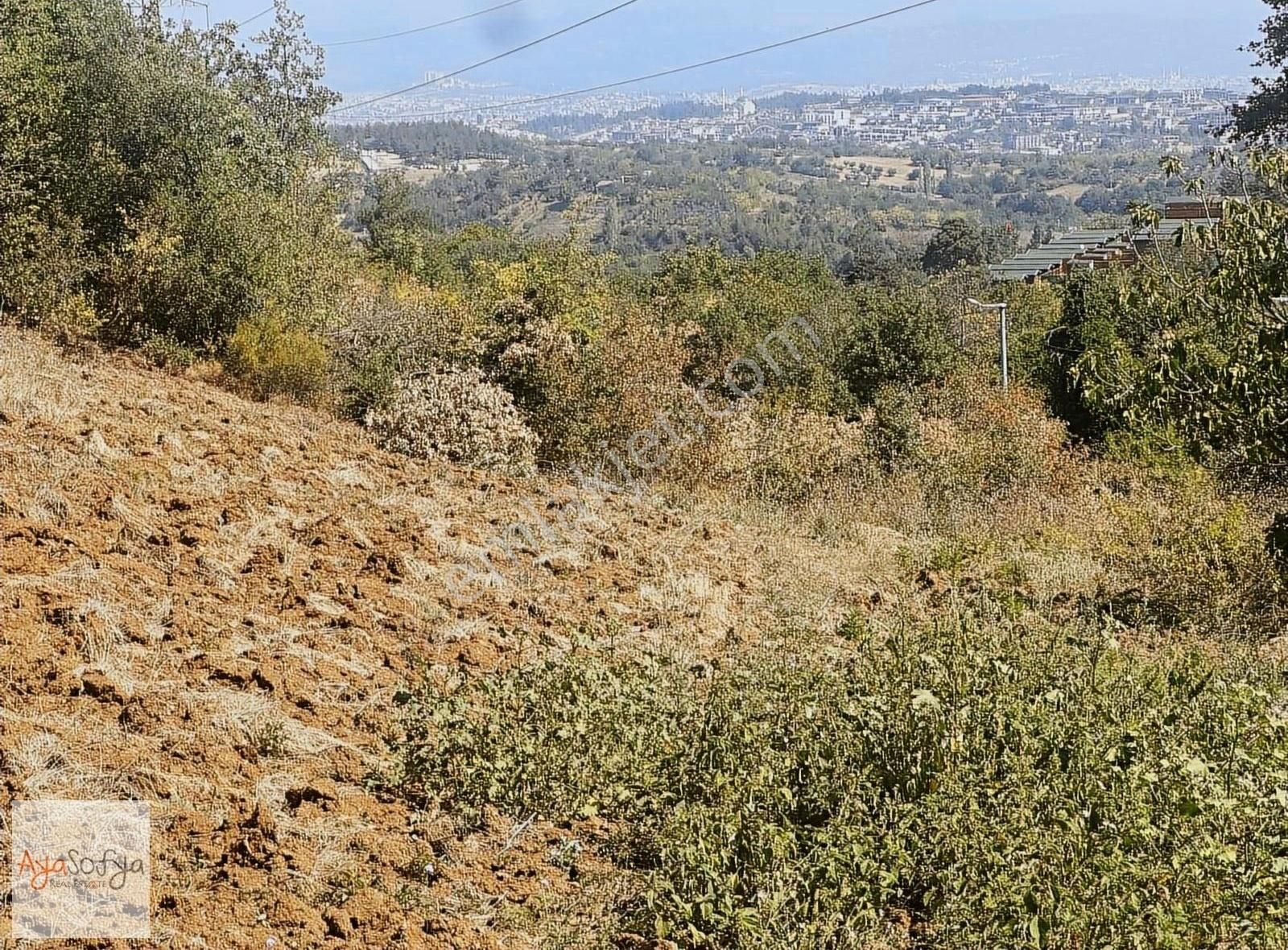 Nilüfer Dağyenice Satılık Tarla DAĞYENİCE MANZARALI GENİŞ CEPHELİ 1800M2 ELKT SU BULUNAN ARAZİ