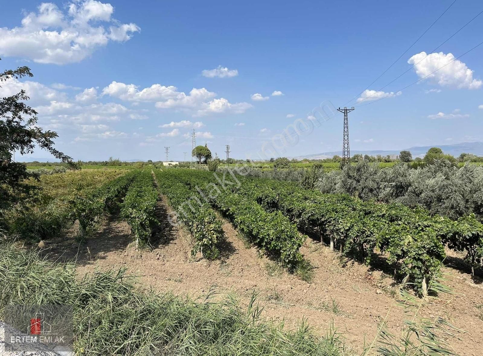 Şehzadeler Yukarıçobanisa Satılık Bağ & Bahçe Manisa Turgutlu Asfaltına Sıfır Kupon Arazi 2,700M2