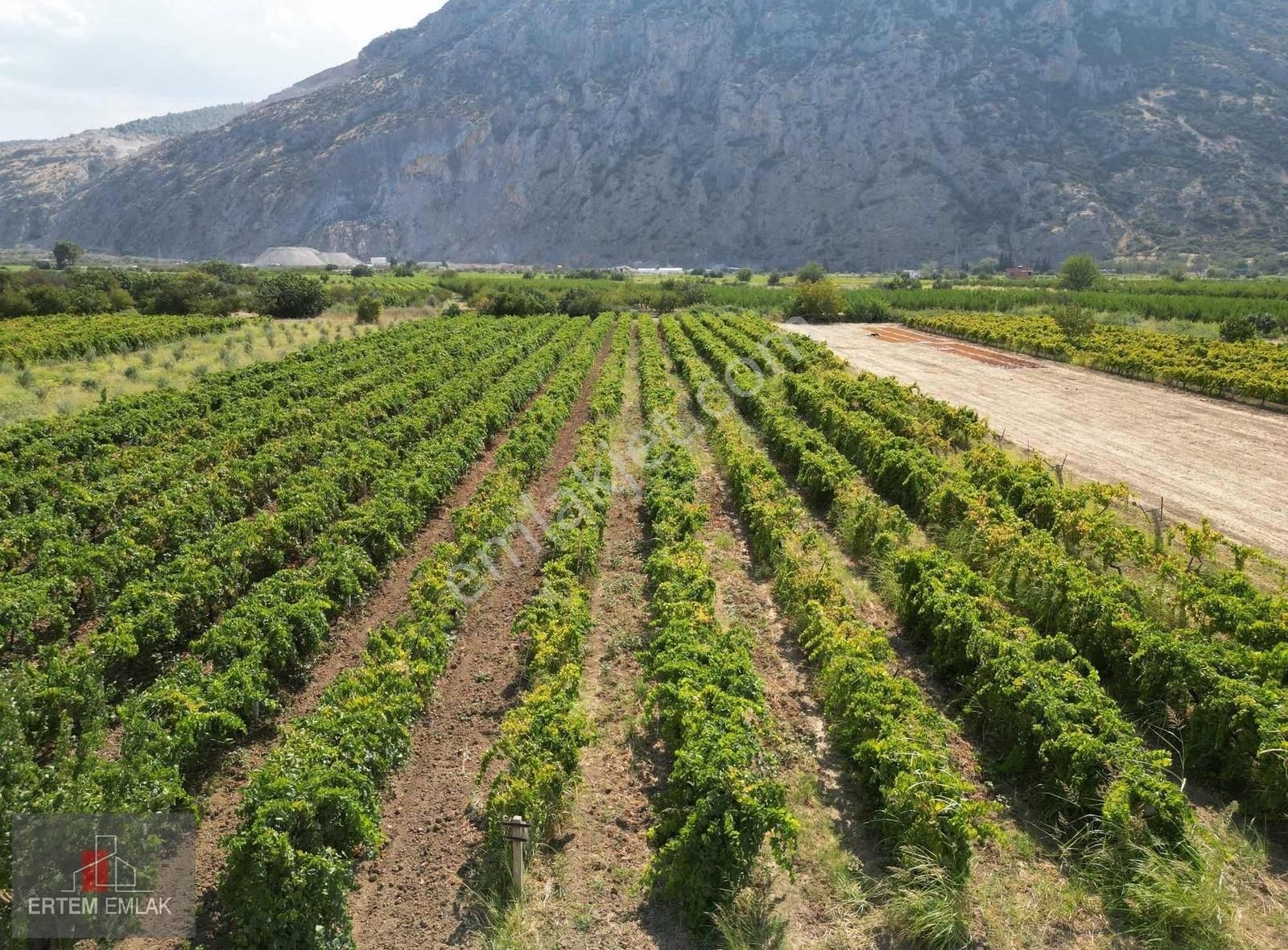 Şehzadeler Yukarıçobanisa Satılık Bağ & Bahçe Manisa Şehzadeler Yukarıçobanisa Satılık 3,000M2 Bağ