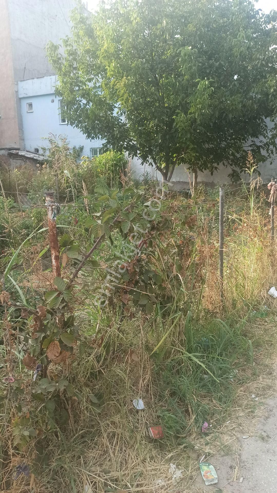 Samanlı Sakarya Mahallesinde 200 Metrekare Kiralık Depo Alanı - Görsel 5