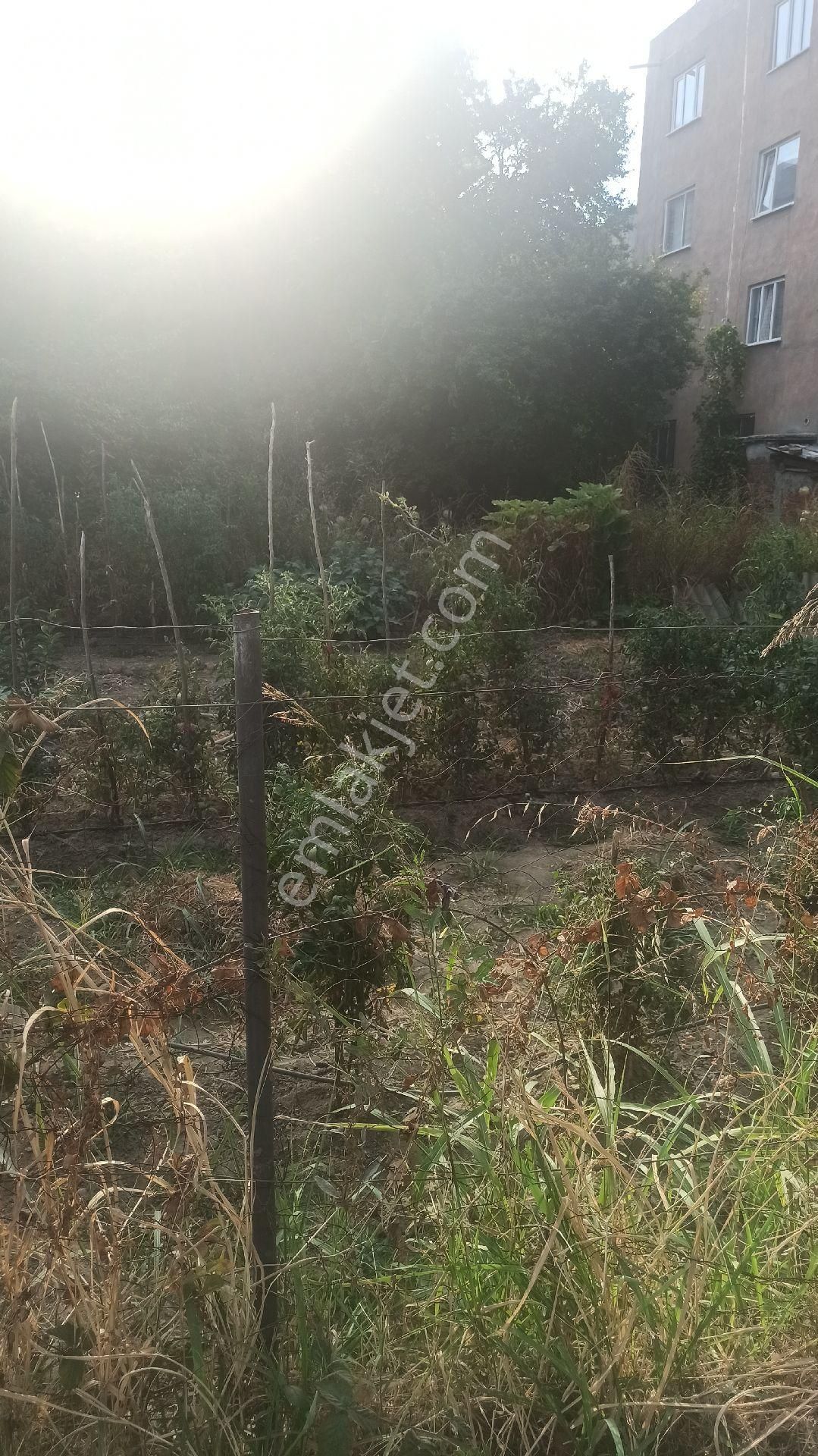 Samanlı Sakarya Mahallesinde 200 Metrekare Kiralık Depo Alanı - Görsel 4