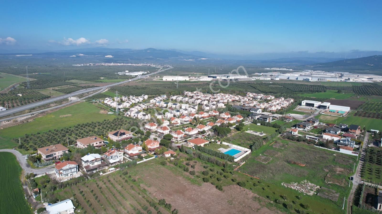 Akhisar Medar Satılık Zeytinlik Manisa Akhisar Medar Mh De Satılık 15,700 M2 Zeytinlik