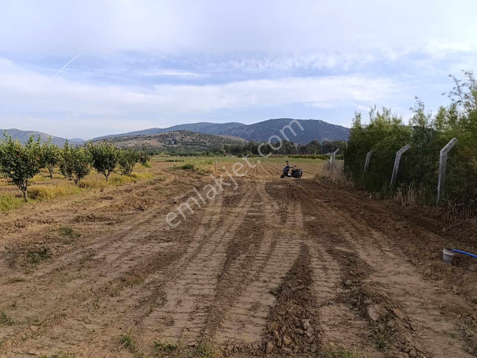 Selçuk İsa Bey Satılık Tarla  TEK TAPU SATILIK HOBİ BAHÇESİ TADINDA BAHÇE