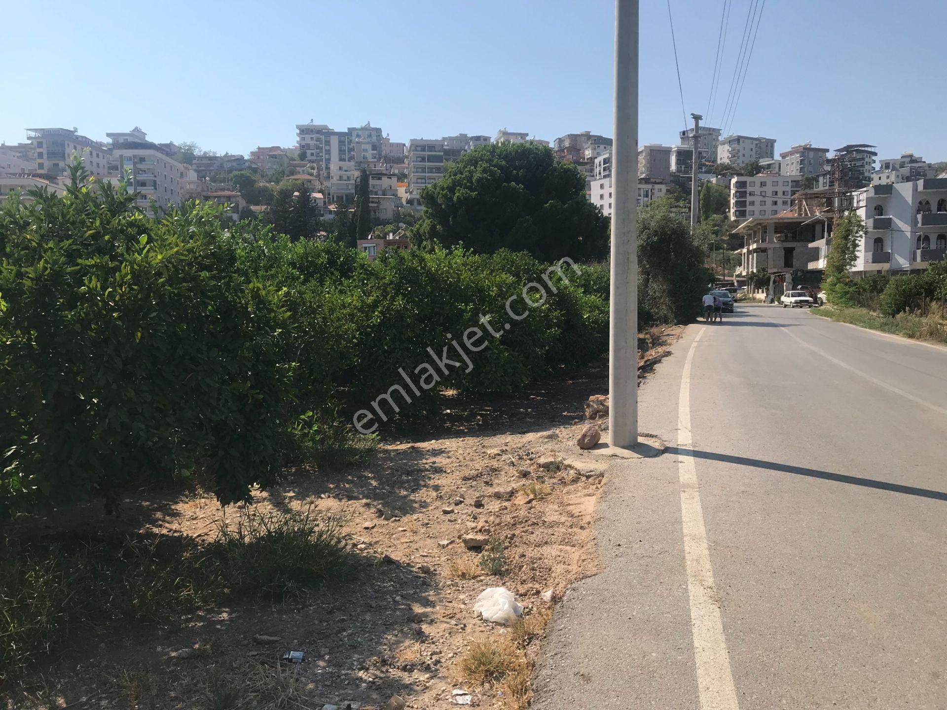 Menderes Gümüldür Fevzi Çakmak Satılık Tarla  kuzay kök gm danışmanlığından gümüldür'de satılık tarla