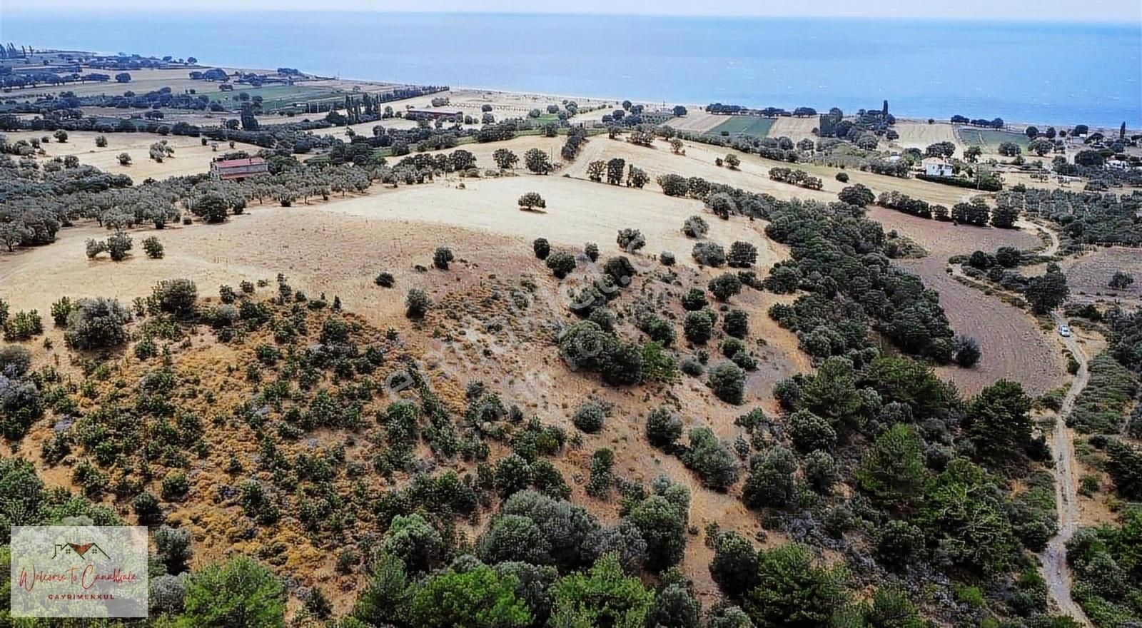 Ayvacık Kösedere Köyü (Karaayıt) Satılık Tarla ÇANAKKALE AYVACIK KÖSEDERE DE DENİZ MANZARALI TARLA