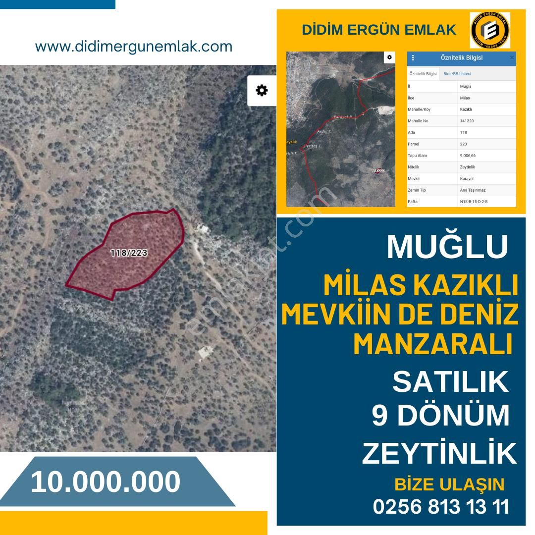 Milas Kazıklı Satılık Zeytinlik Paranomik Deniz Manzaralı 9 Dönüm Satılık Zeytinlik