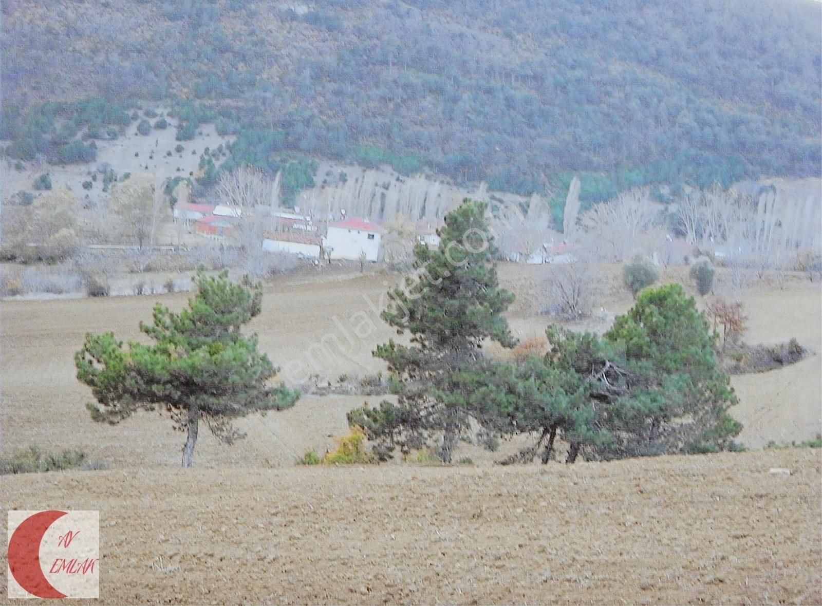 Geyve Karacaören Satılık Tarla 3153 m KARACAÖREN KÖYÜNDE KÖYE ÇOK YAKIN TARLAM