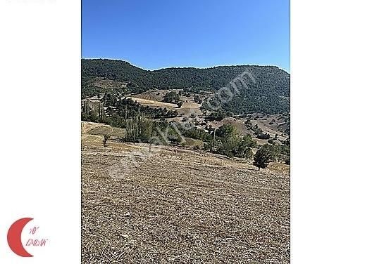 Geyve Karacaören Satılık Bağ & Bahçe AY EMLAK'TAN %40 İMARLI 1260m2 ARSA