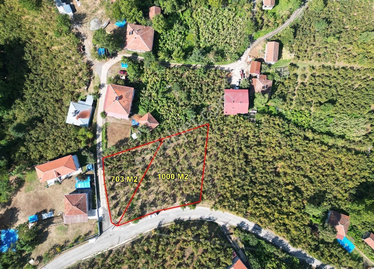 Gölyaka Bakacak Köyü Satılık Konut İmarlı  GÖLYAKA    BAKACAK KÖYÜ'NDE 703 M2 VE 1000 M2    SATILIK PARSEL 