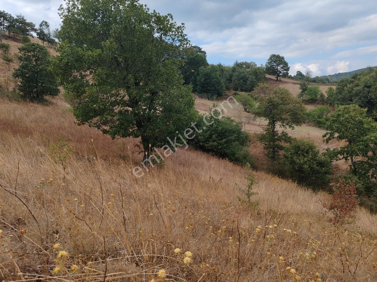 Gönen Fındıklı Satılık Tarla 2.800 m2 Yatırımlık Tarla Bağ-Bahçe Resmi Kadastro Yolu Yoktur.