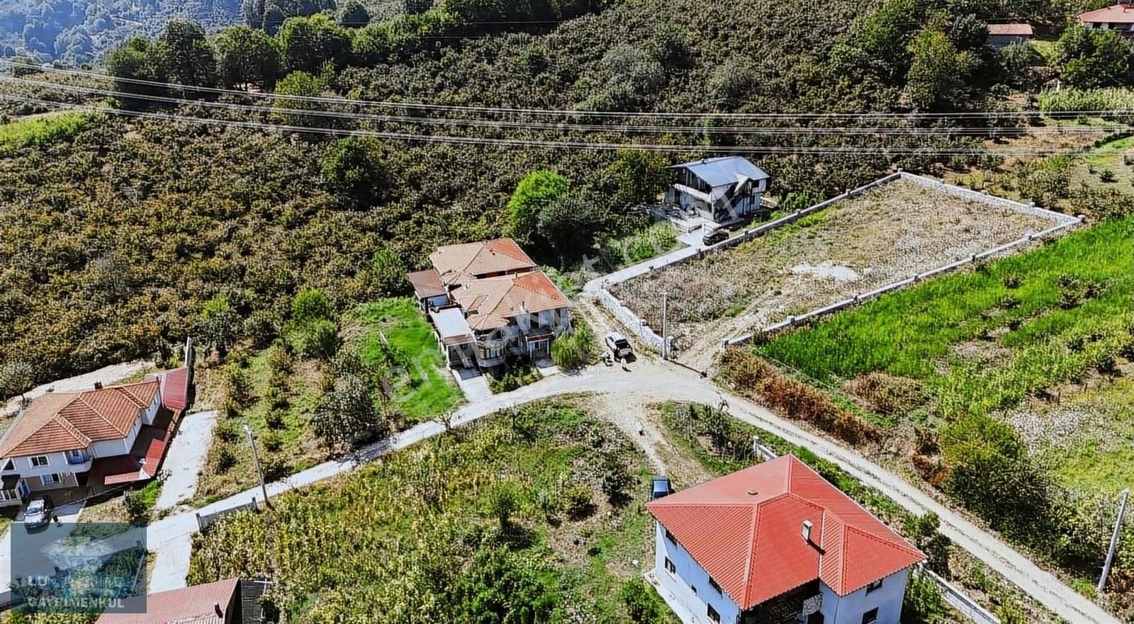 Akyazı Taşburun Satılık Tarla Lux Lıfe 54 Gayrimenkul Akyazı Taşburun'da Satılık İmarlı Arsa