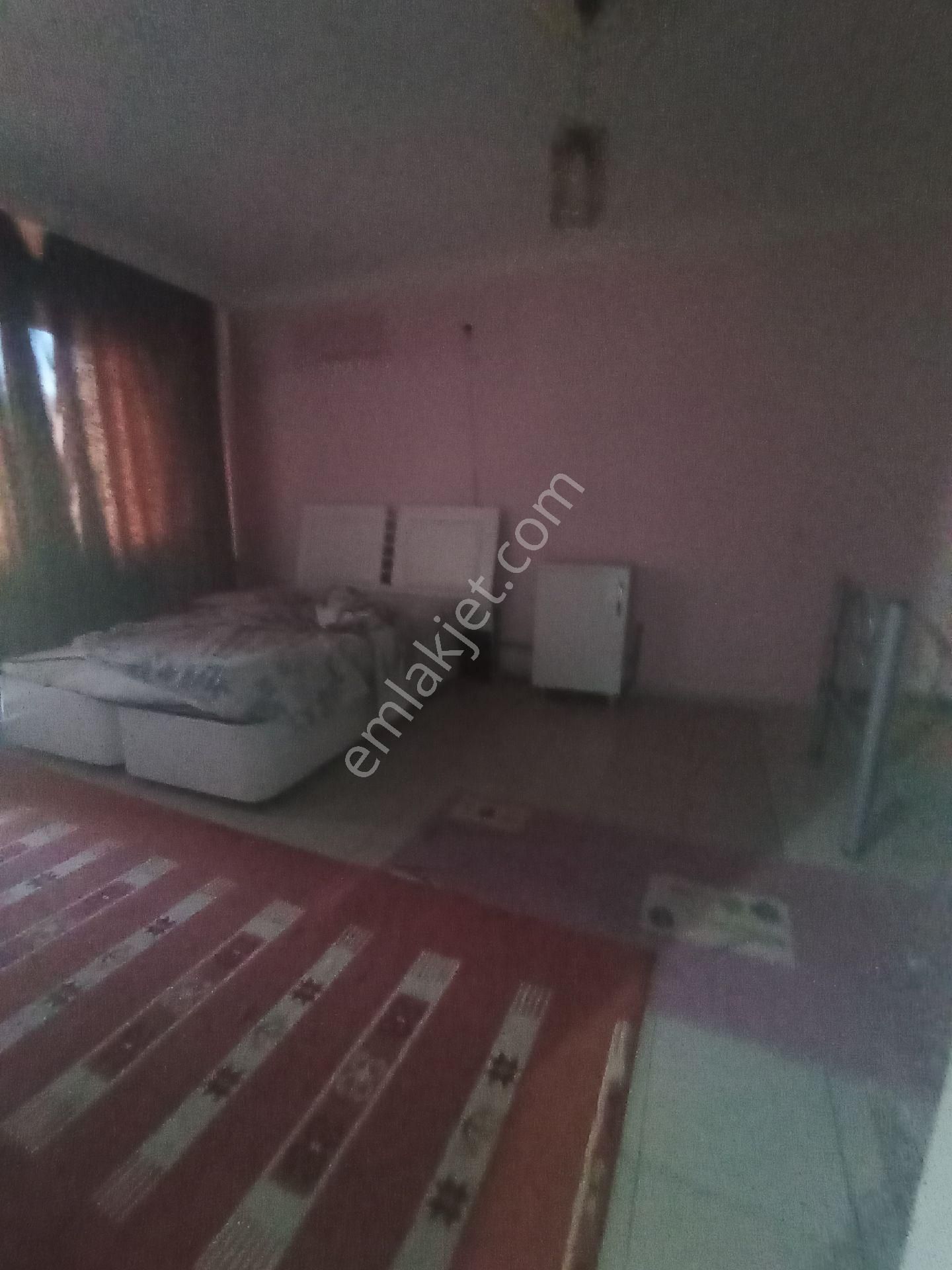 Batman Merkez Kültür Kiralık Daire üçgen Gayrimenkul'den kiralık 1+1 2+1 apart daireler