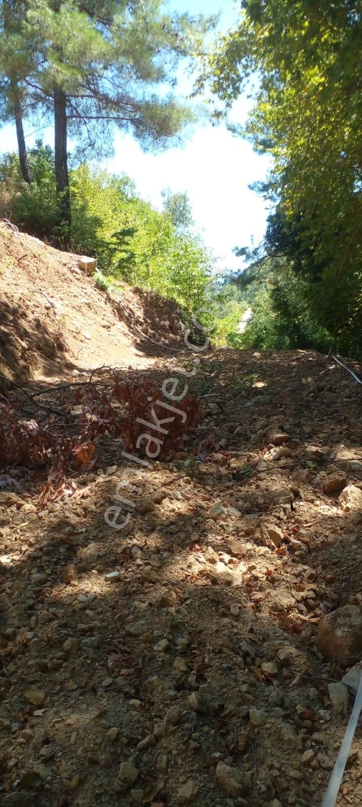 Alanya Uğurlu Kırvasıl Köyünde Satılık Tarla - Görsel 2