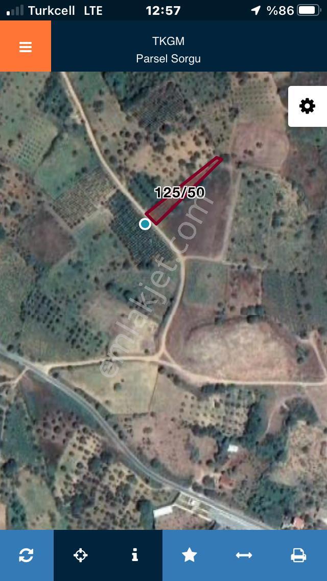 Şarköy De Işık Emlaktan Çınarlı Mah De 700 M2 Bağ - Görsel 18