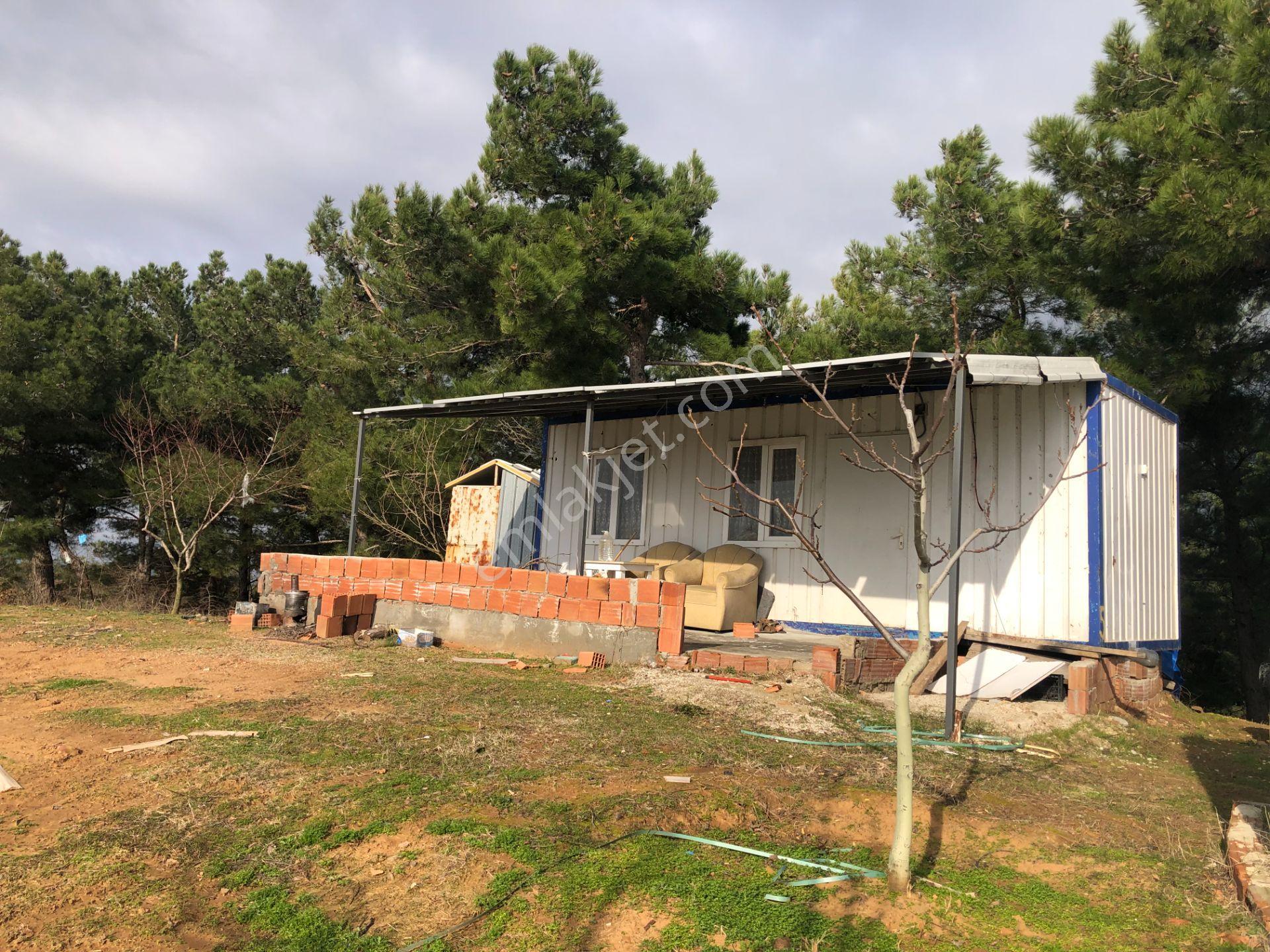 Şarköy De Işık Emlaktan Çenğelli Mah De 6900 M2 Cevizlik - Görsel 10