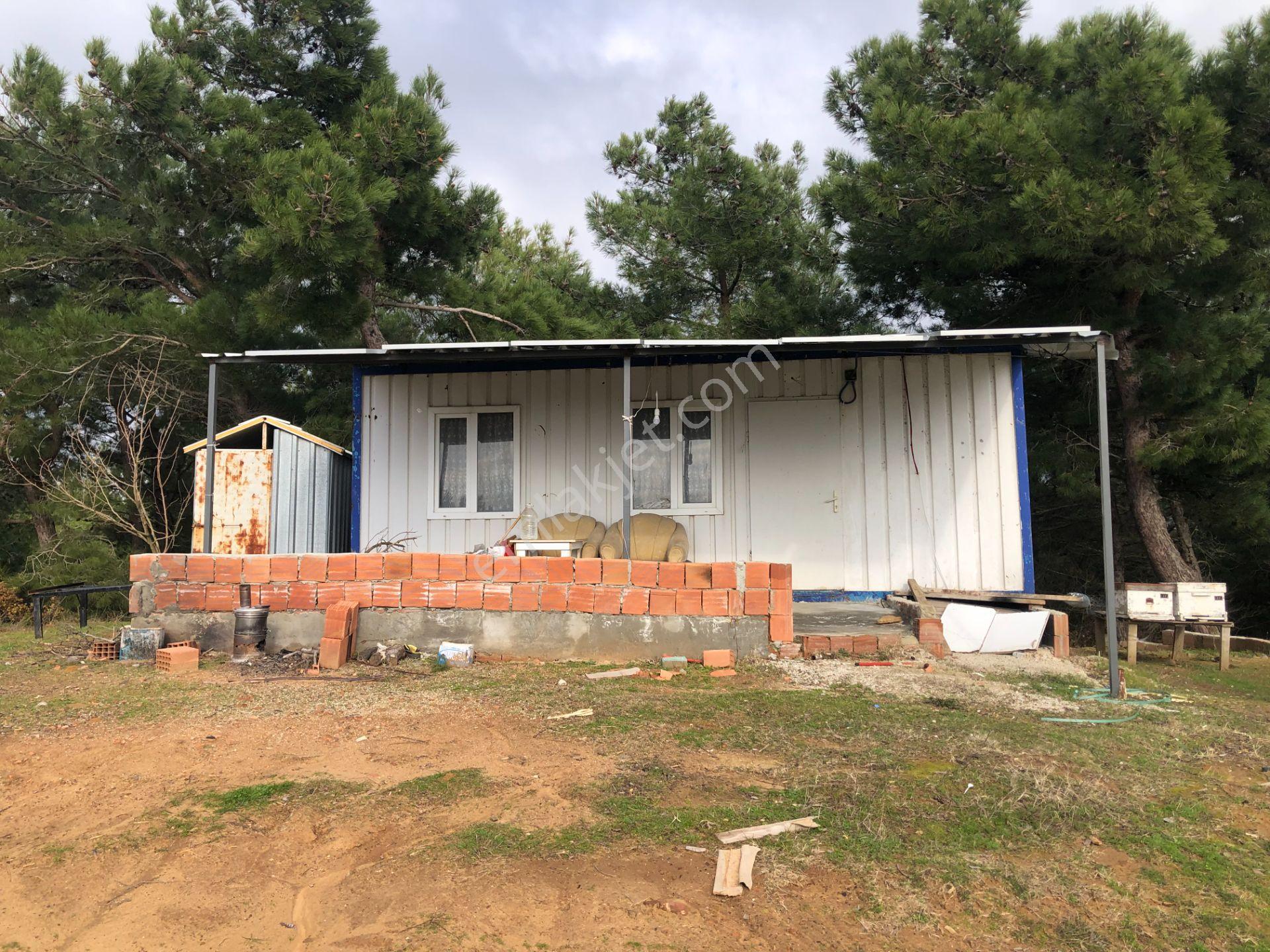 Şarköy De Işık Emlaktan Çenğelli Mah De 6900 M2 Cevizlik - Görsel 14