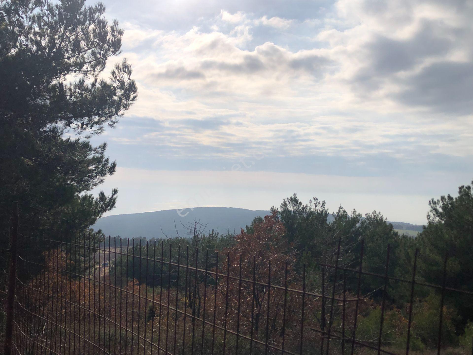Şarköy De Işık Emlaktan Çenğelli Mah De 6900 M2 Cevizlik - Görsel 15