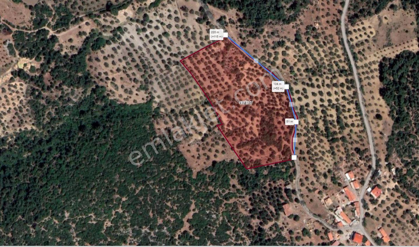 R4-zeytindağda Full Deniz Manzaralı 18 Dönüm Kadastral Yola 200 Metre Cepheli Tarla - Görsel 2