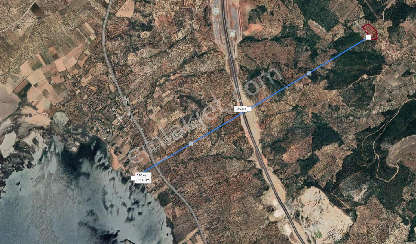 R4-zeytindağda Full Deniz Manzaralı 18 Dönüm Kadastral Yola 200 Metre Cepheli Tarla - Görsel 3