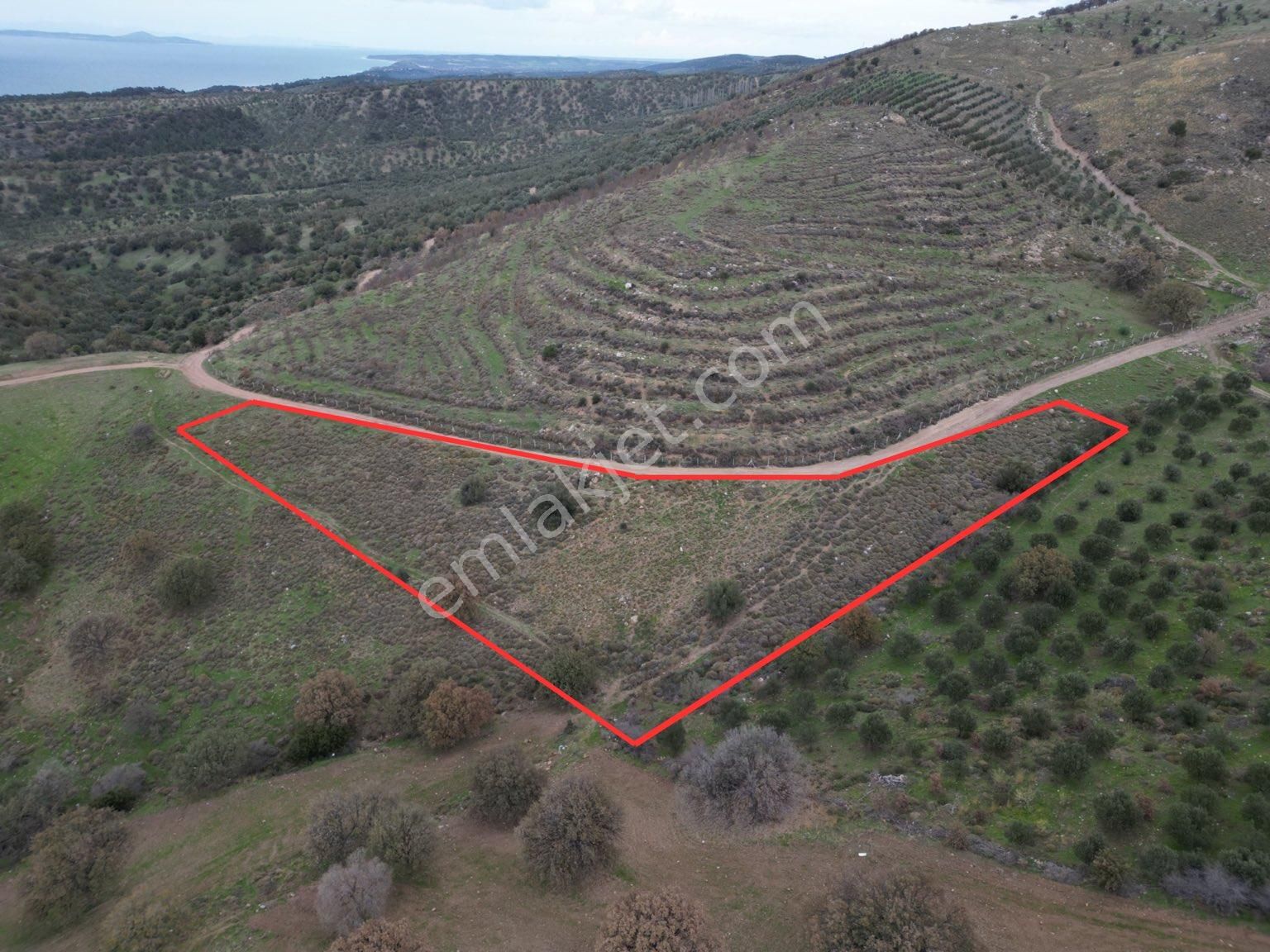 Ayvacık Kösedere Köyü (Merkez 1) Satılık Tarla  KÖŞK EMLAK'TAN KÖSEDERE'de 5,415m2 DENİZ MANZARALI FIRSAT TARLA