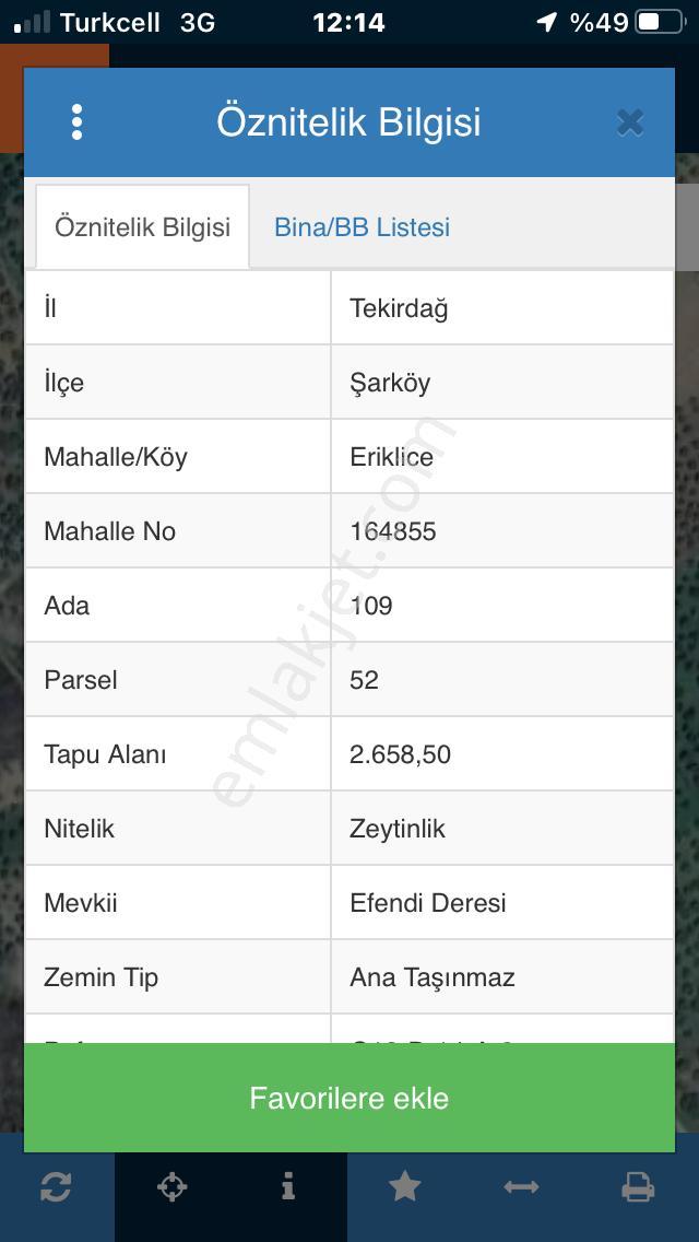Şarköyde Işık Emlaktan Eriklice Mah De 2668 M2 Zeytinlik - Görsel 14