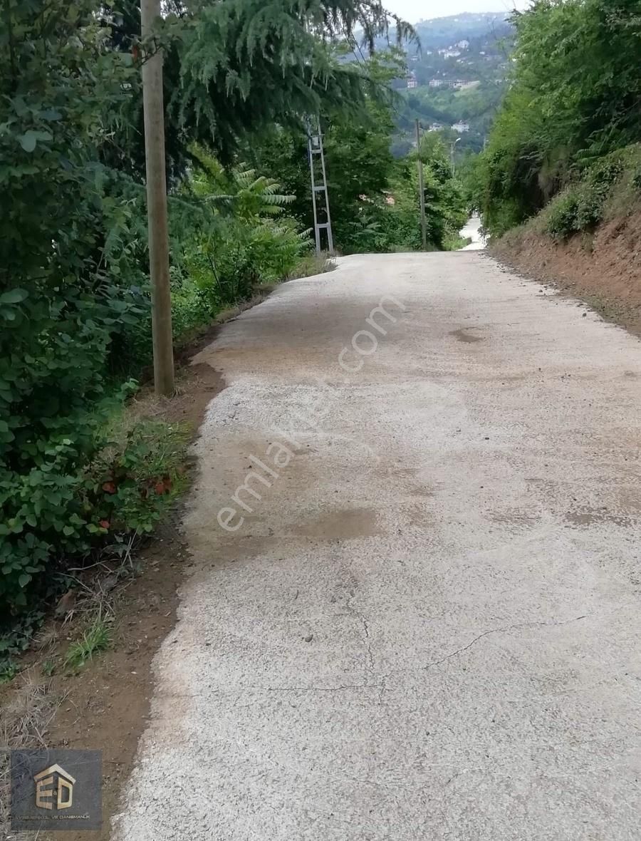 Ortahisar Yeşilbük Satılık Bağ & Bahçe TRABZON YEŞİLBÜK MAH. SATILIK UYGUN FİYATLI ARSA