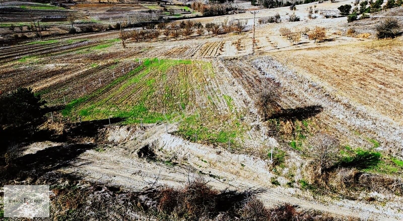 Yenipazar Yumaklı Köyü Satılık Tarla YUMAKLI'DA YOLA CEPHE ETRAFI BETON DİREKLE ÇEVRİLİ ARSA