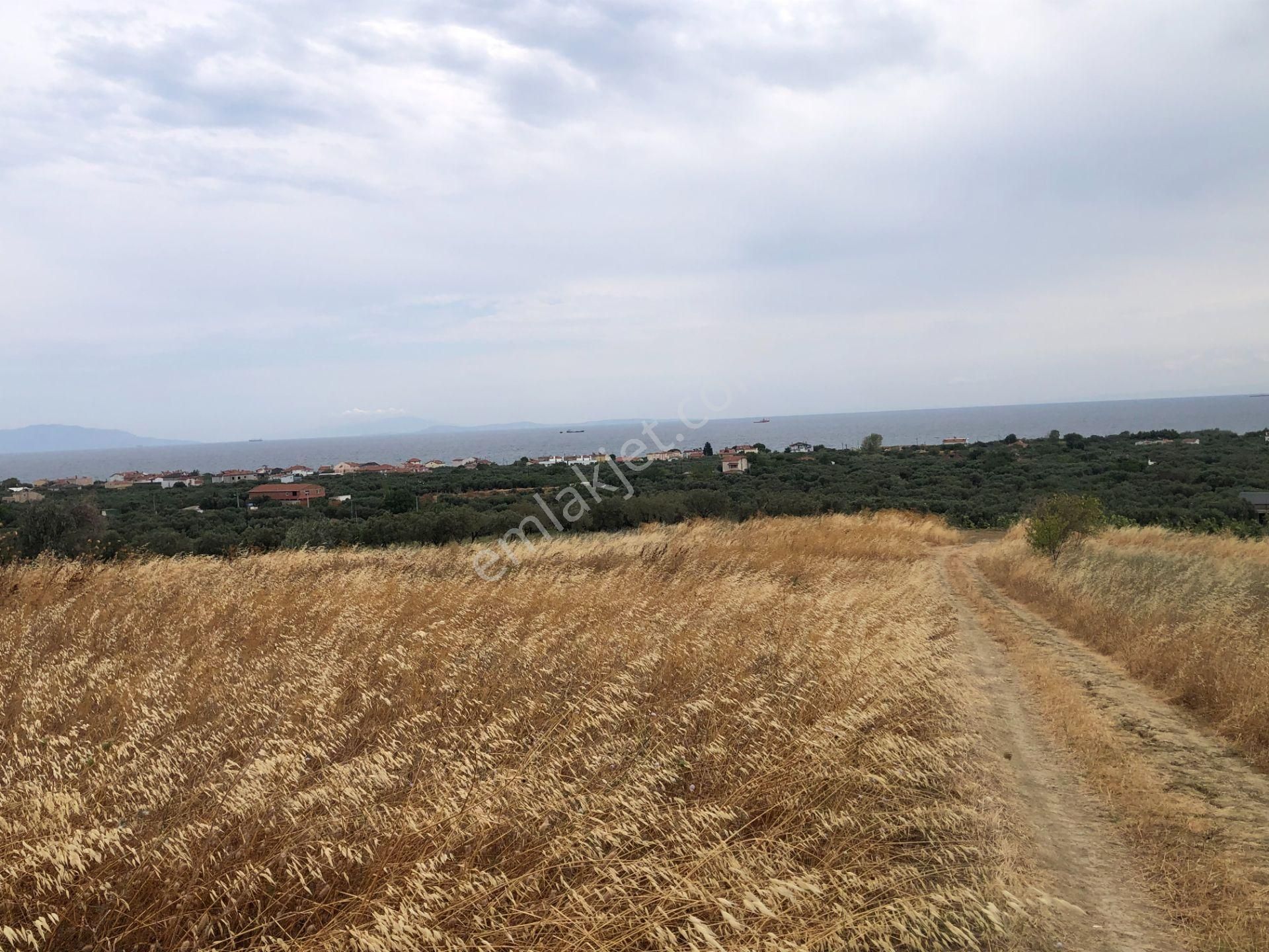 Şarköy De Işık Emlaktan Eriklice Mah De 267 M2 0/25 İmarlı Arsa - Görsel 11