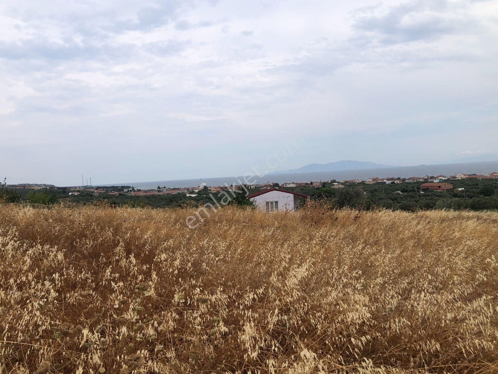 Şarköy De Işık Emlaktan Eriklice Mah De 267 M2 0/25 İmarlı Arsa - Görsel 5