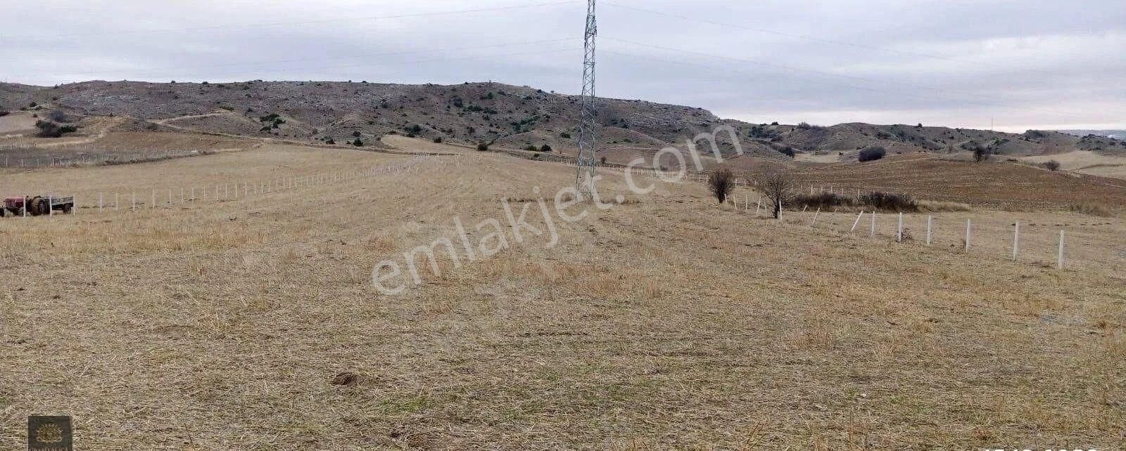 Ayaş Ortabereket Satılık Bağ & Bahçe Hobi Bahçesi