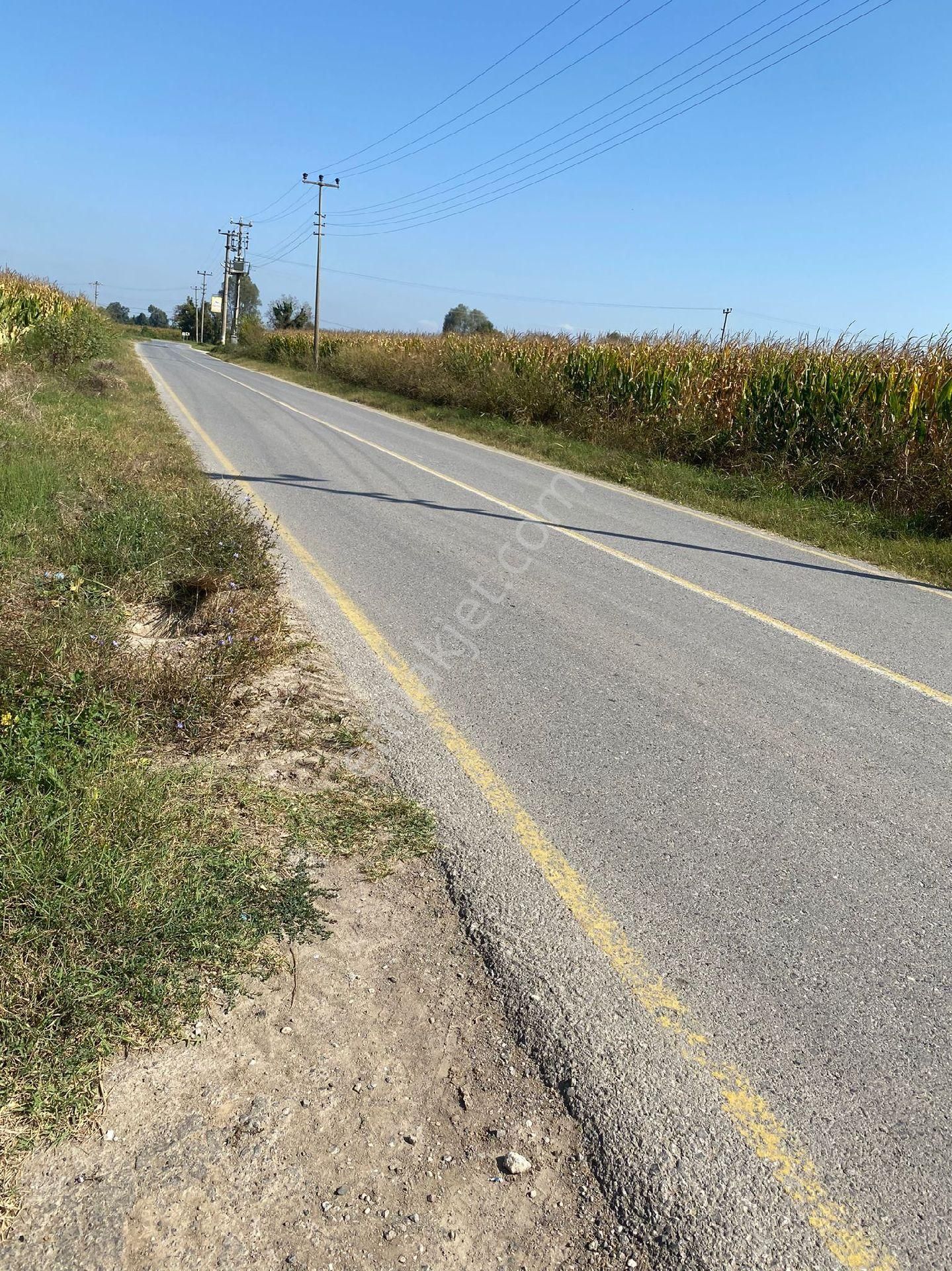 Adapazarı Budaklar Satılık Tarla Sakarya Adapazarı Budaklar Yol Kenarı Tarla