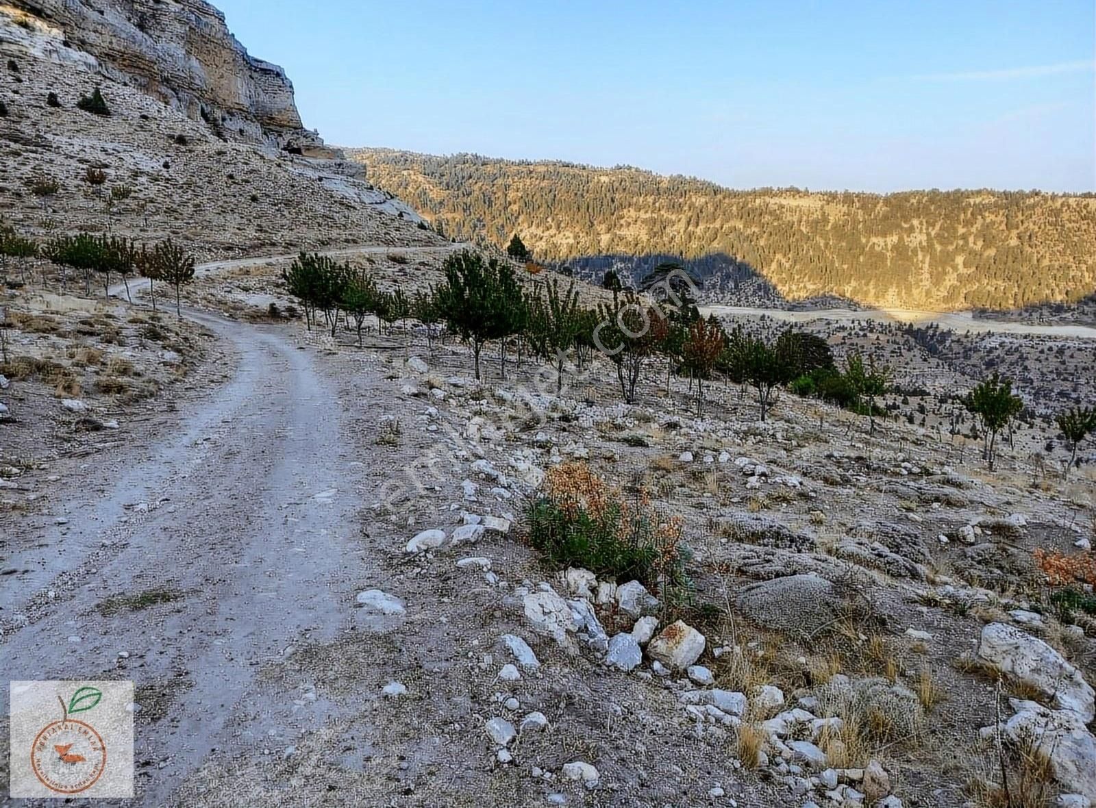 Ermenek Balkusan Köyü Satılık Bağ & Bahçe KARAMAN BALKUSAN YAYLASINDA 7 DÖNÜM SATILIK BAHÇE