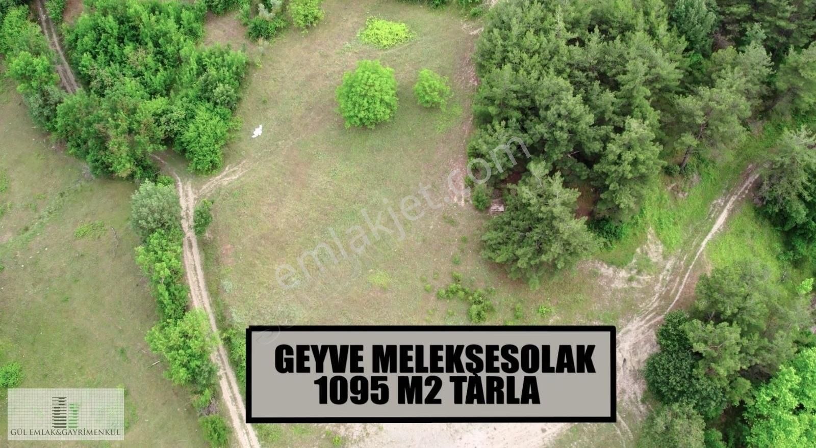 Geyve Melekşesolak Satılık Tarla GEYVE MELEKSESOLAK 1095 M2 SATILIK ARAZİ