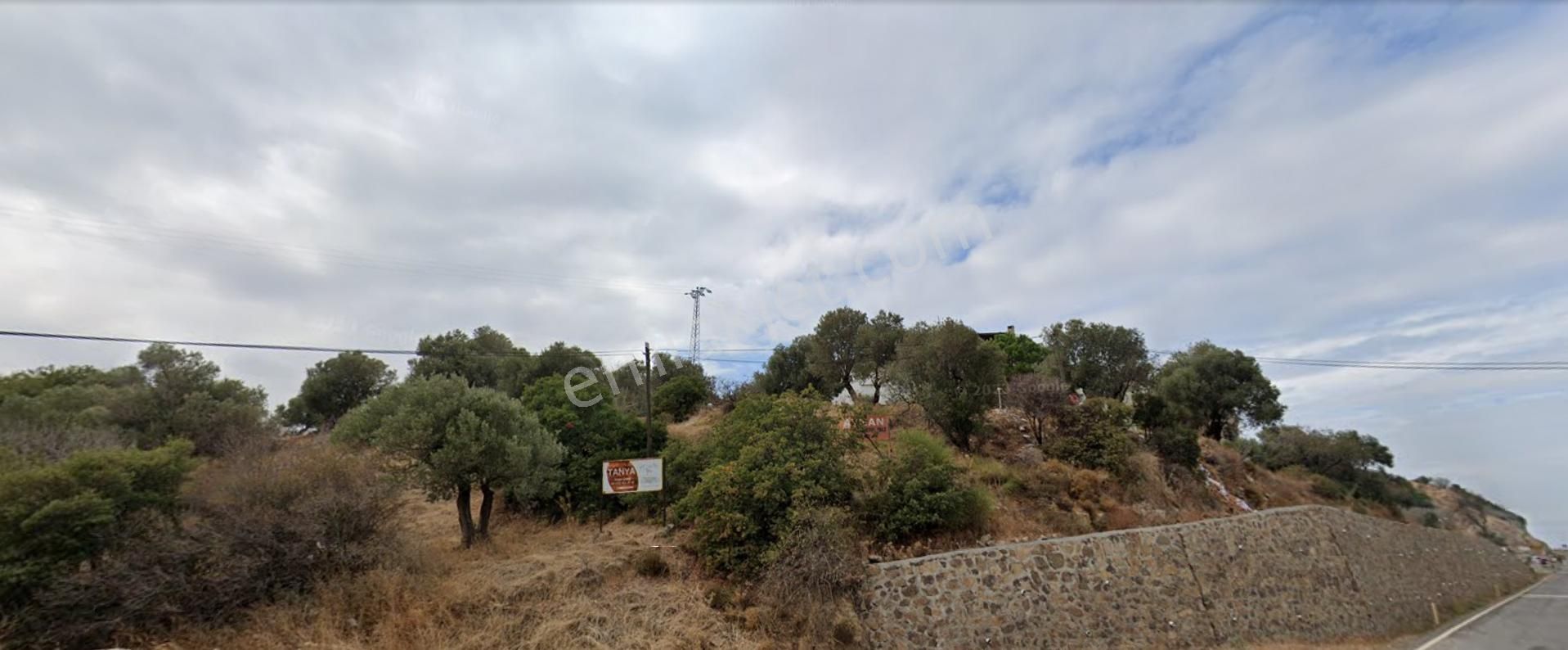 Yeni Foça Cumhuriyette Kat Karşılığı Projeye Uygun 12 Dönüm Arazi - Görsel 10